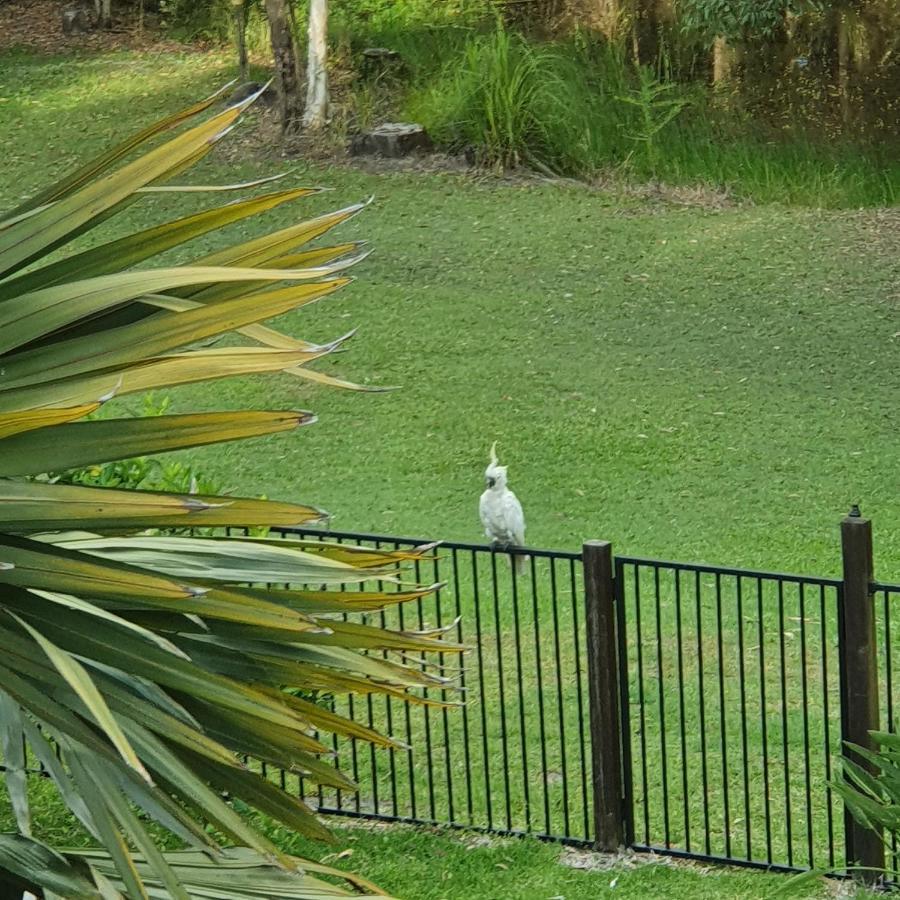 Clearwater estate Guest House Doonan Exterior foto